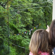 Mommy points out the monkey in the trees in front of our house to E. Sometimes they seem just like little furry naked humans sleeping out in the trees. It is cute and creepy, and Eliza is endlessly fascinated.