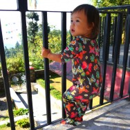 I think she was pretending to be a monkey here, or perhaps just having a blast on our front deck, or maybe just enjoying the view... who knows whats going through that pretty little head!